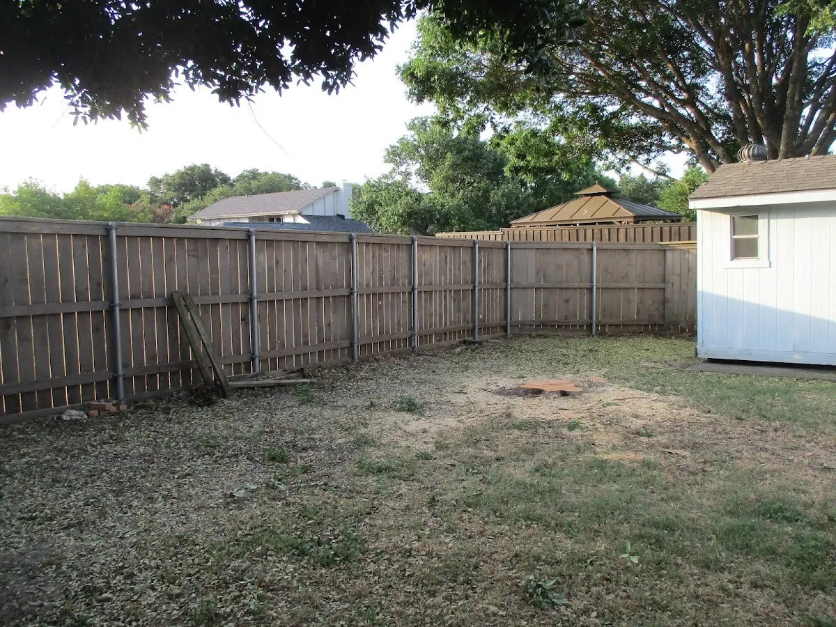 Cleared yard after professional tree removal in Lafayette